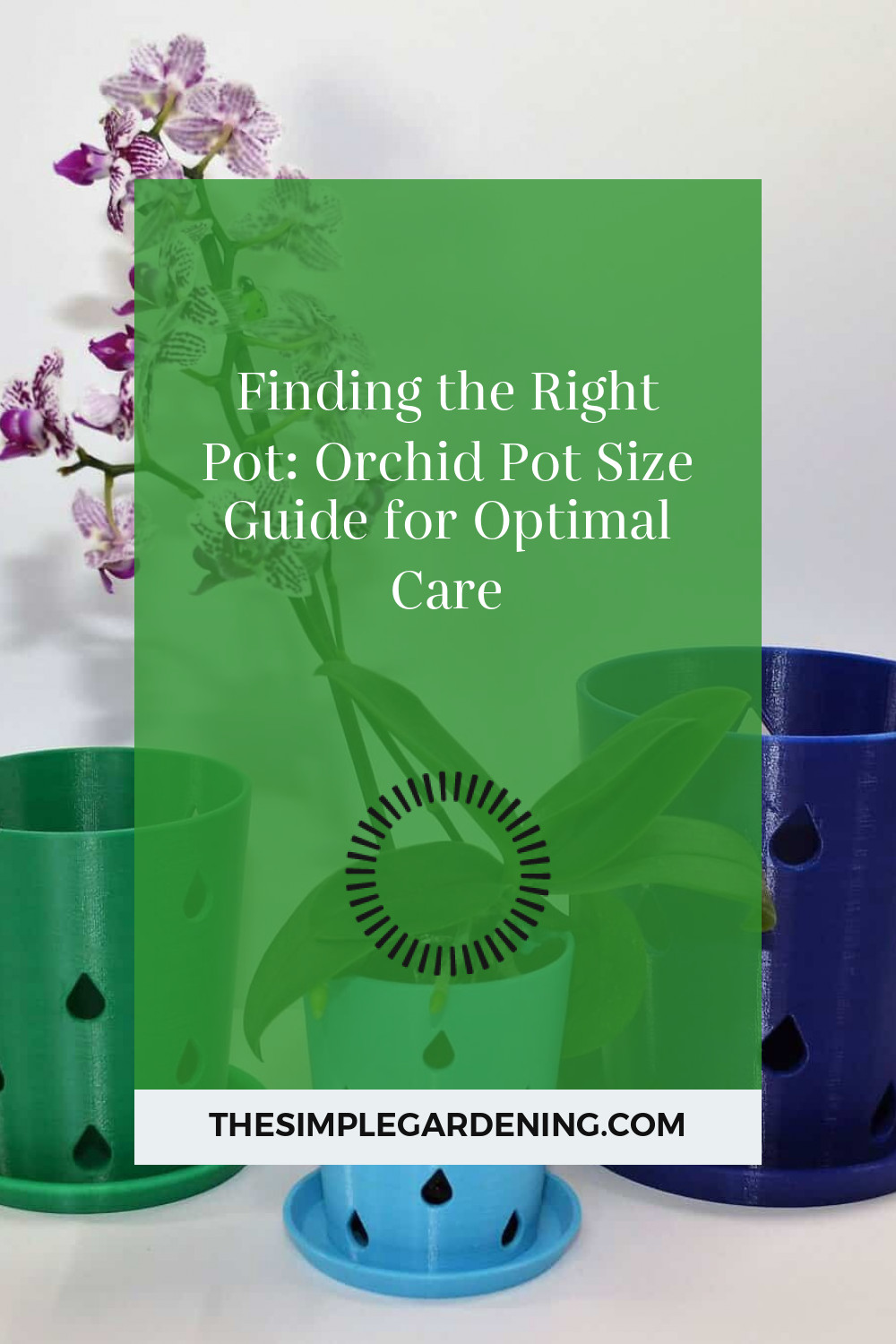 Finding the Right Pot: Orchid Pot Size Guide for Optimal Care